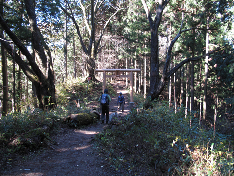 20151127hike (222)